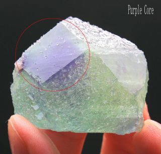 72g Rare Ladder - Like Green‘purple Core’ Fluorite Crystal Mineral Specimen/china