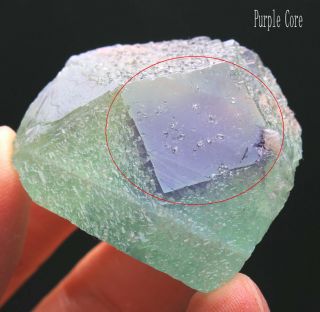 72g Rare Ladder - like Green‘Purple core’ Fluorite Crystal Mineral Specimen/China 2
