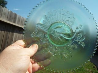 Northwood Peacock On A Fence Ice Green Rare Find 9 Inch Plate No Chips Or Cracks