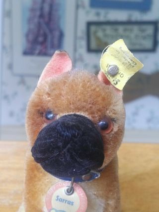 Antique Vintage Steiff Sarras Boxer Dog Teddy Bear Best Friend Ean 3310 Vgc,  5in