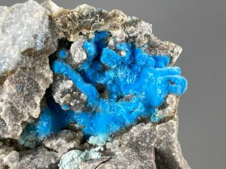 82mm Rare Blue Cyanotrichite On Matrix From China