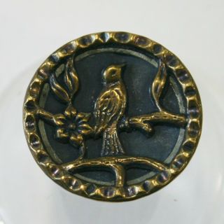 Antique Victorian Song Bird On A Branch Brass Stamped Button
