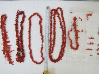 Set Of 5 Vintage Chinese Coral Necklaces.
