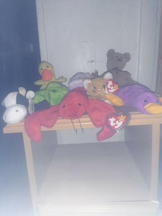 Ty Beanie Babies 8 Of 9 From 1993 1st Year All Rare P.  V.  C.  Pellets
