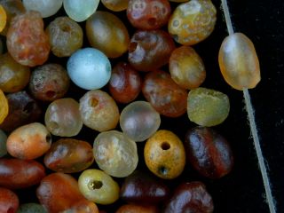 88Pics Good Quality Rare Tibetan Natural Agate Dzi Small Beads E057 3