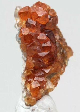 Rare Spessartine Garnet Crystal Cluster Rich Red Mineral Specimen Fujian China