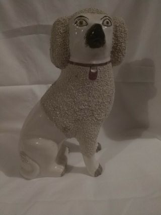 Antique Staffordshire England Confetti Poodle / Spaniel Dog Figurine 10 " Tall