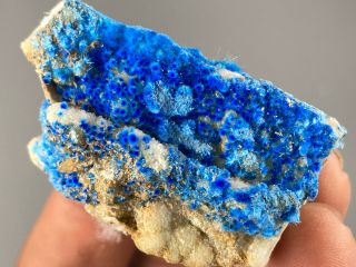50mm Rare Blue Cyanotrichite On Matrix From China