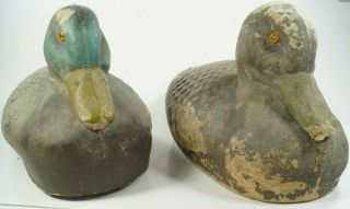 Paper Mache Vintage Duck Decoys Mid Century Matching Pair Hen And Drake