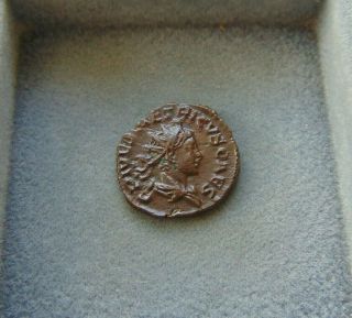 Very Rare Very Fine Roman Empire Tetricus Ii Caesar Gall Usurper Antoninianus