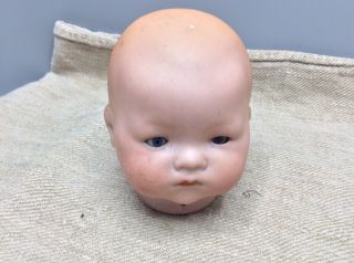 Armand Marseille Antique German Bisque Baby Doll Head Only