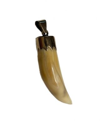 Fine Antique English Victorian Solid 9k Gold Tooth Pendant 9ct