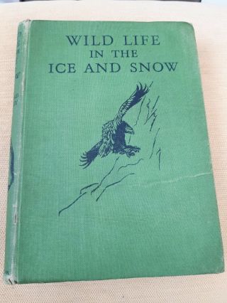 Rare - Wildlife In The Ice And Snow - C Bernard Rutley 1943 - 01 - 01 Macmillan & C