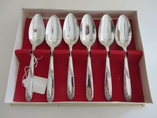 Boxed Set 6 Vintage Angora Silver Plated Grapefruit / Fruit Spoons -