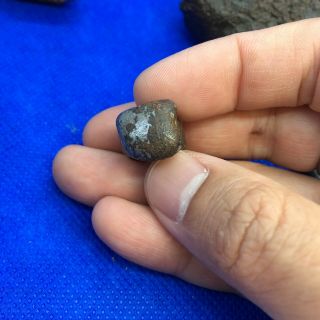 NWA 859 (Taza) 14.  8g,  ungrouped iron meteorite,  rare type,  like a bullet 3