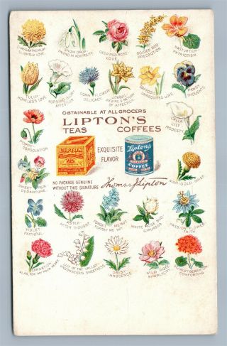 Lipton Tea & Coffee Advertising Antique Postcard