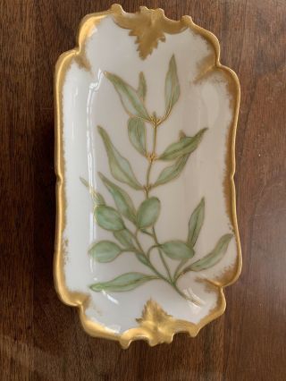 Antique T & V Limoges France Relish / Pickle / Soap Dish White With Green Leaves