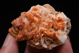 91g Natural Vanadinite Barite Crystal Cluster Rare Mineral Specimen Morocco