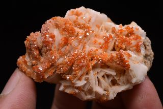91g Natural Vanadinite Barite Crystal Cluster Rare mineral specimen Morocco 3