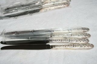 National Silver Co.  Silver Plated Flatware " Narcissus " (4) Dinner Knives 9.  5 "