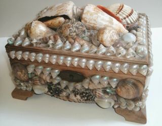 Antique Vintage Victorian ? Sailor Valentine Sea Shell Shellwork Box Folk Art