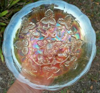 Antique Millersburg Carnival Glass Marigold Blackberry Wreath Flared 8.  5 " Bowl
