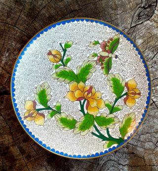 Chinese Cloisonné Enamel Plate White Floral And Butterfly Gold Accent