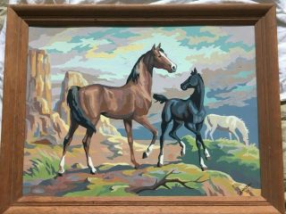 Vintage Oil Paint By Number Of 3 Wild Horses In The Southwest