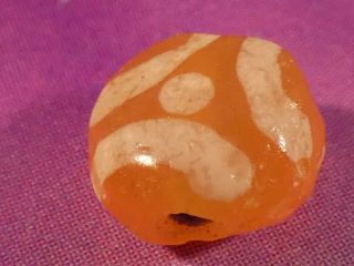 Ancient Pyu - Kushan Etched Agate Carnelian Rare Two Eye Disc Bead 7.  1 B Y 4.  4 Mm