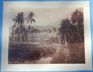 Antique Photograph - Malaysia Penang Jungle Village Scene