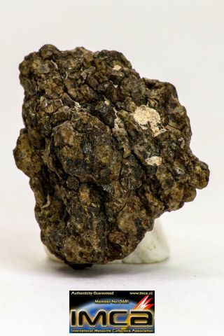 08978 - Rare 2.  110g Nwa Unclassified Ureilite Achondrite - Prim Meteorite Fragment