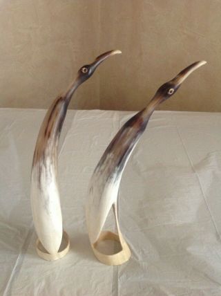 Rare Birds Hand Carved From African Animal Horn 1950 African Sculpture