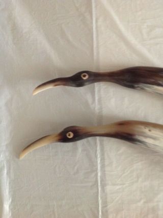Rare Birds Hand Carved from African Animal Horn 1950 African Sculpture 2