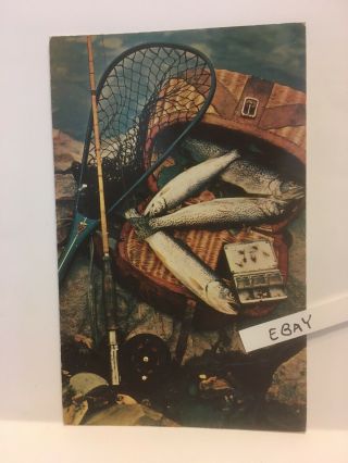1950’s Lehighton Pa.  Kriss Pines Trout Hatchery,  Fishing Stream Rare Postcard 1