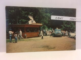 1950’s Lehighton Pa.  Kriss Pines Trout Hatchery,  Fishing Stream Rare Postcard 3