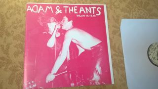 So Rare Punk Wave Adam And The Ants Milan 16.  10.  78 Lp,  7 ",  Poster 1978