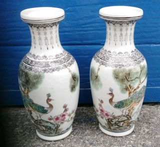 Interior Designer Porcelain Chinese Vases With Peacock Designs Made In China 孔雀