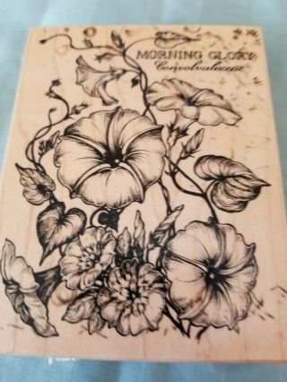 Psx Rubber Stamp Morning Glory Botanical - Rare,  Retired,  4 3,  4 By 3 3/4 Inches