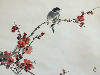 Japanese Hanging Scroll Kakejiku Plum Tree Bird Hand Paint Paper Antique V050