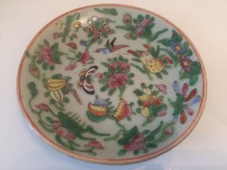 Antique 19th Century Chinese Hand Painted Celadon Porcelain Dish