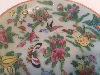 ANTIQUE 19th CENTURY CHINESE HAND PAINTED CELADON PORCELAIN DISH 2