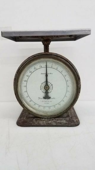Antique John Chatillon And Sons Nursery Scale