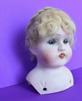 Vintage German Bisque 1510 Doll Head With Mohair Wig