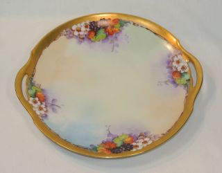 Antique Thomas Jorgensen Hand Painted Porcelain Tray Cake Plate Artist Signed