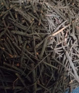 Rare Red Silene Capensis Root 1/2 Oz (14g) Fresh African Dream Root Ubulawu Usa