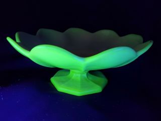 Mckee Custard Uranium Glass Footed Lotus Serving Compote Bowl 12 " X5 " Vtg Rare