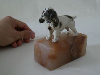 Art Deco Cold Painted Spelter Spaniel Dog Statue