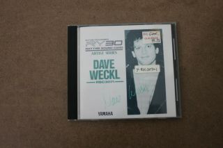 Yamaha Rsc3071 Dave Weckl Rhythm Sound Card Ry30 Rm50 Sy/tg Rare