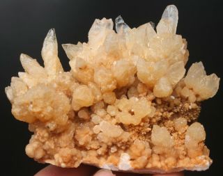 153g Rare Natural yellow Clear Calcite Crystal Cluster Mineral Specimen 2