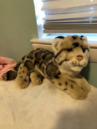 Webkinz Endangered Signature Clouded Leopard Rare With No Code